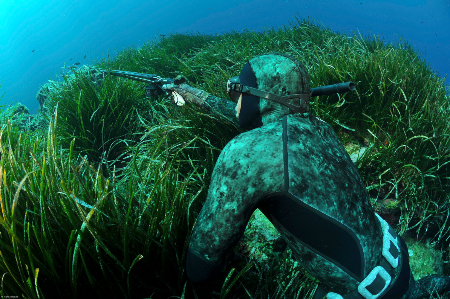 Aumentano le giornate di fermo pesca a strascico –